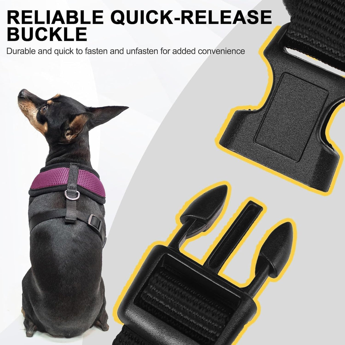 BINGPET Small Dog Harness - Breathable Mesh Puppy Cat Harnesses - No Pull Adjustable Dog Harness Dog Vest Harness for Small and Medium Dogs