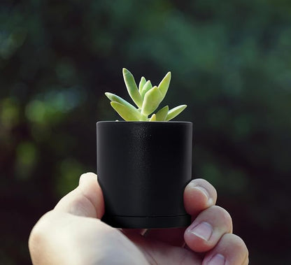D'vine Dev 24 Pack 2 Inch Mini Plastic Plant Pots, Small Garden Planters for Plant with Drainage Holes and Saucers, Black Color, 74-Y-A-6