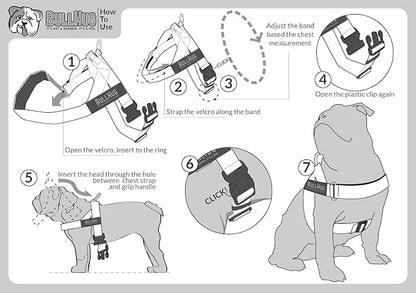 Adjustable Dog Harness– No Pull, No Choke – for English Bulldogs, French Bulldogs, Pugs & Broad-Chested Breeds – Easy, Safe Walks (Sky-Duck, Small)