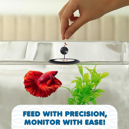 SunGrow Betta Feeding Ring, Prevent Water Turbulence from Washing Food into Filter, Practical Round Floating Food, Suitable for Guppy, Goldfish and Other Small Fish (1 Pc)