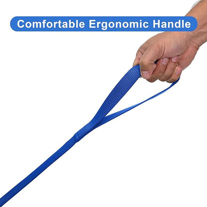 Pawtitas 6 FT Solid Color Leash for Puppy & Cat Training - Extra Small, 6 ft or 1.8 m, Blue