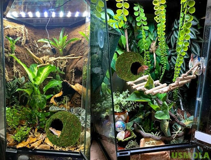 USMOLA Mossy Caves, Artificial Green Moss Caves Hide for Pet Reptile Frogs and Snakes, Terrarium & Vivarium Decor, Crested Gecko Tank Decor (6" - Woodland Green)