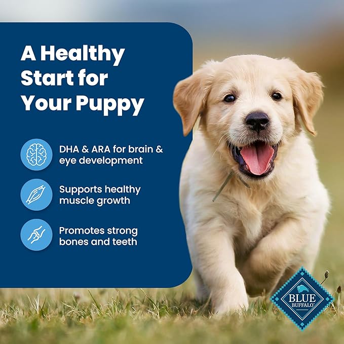 Blue Buffalo Life Protection Formula Puppy Dry Dog Food with DHA and ARA, Made with Natural Ingredients, Chicken & Brown Rice Recipe, 5-lb Bag