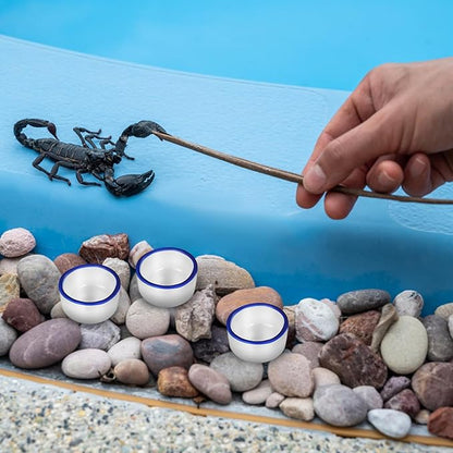 12pcs Small Ceramic Reptile Water Bowls Mini Terrarium Basins and Crawling Pets Reptile Tank Drinking Dishes Pet Habitat Accessories
