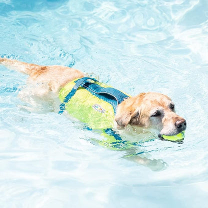 Outward Hound Standley Sport Dog Life Jacket, High-Performance Ripstop Dog Life Vest for Swimming, Boating, and Water Safety, Small, Green