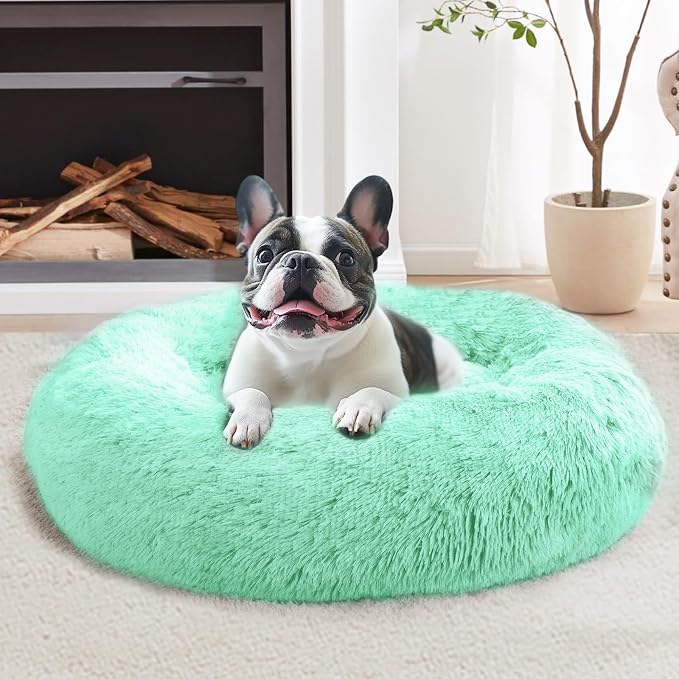JOLLYVOGUE Calming Small Dog & Cat Bed for Indoor Cats - 20 inches Washable Donut Bed for Kittens & Puppies, Anti-Anxiety Round Fluffy Plush Pet Beds (Fits up to 15 lbs, Mint Green)