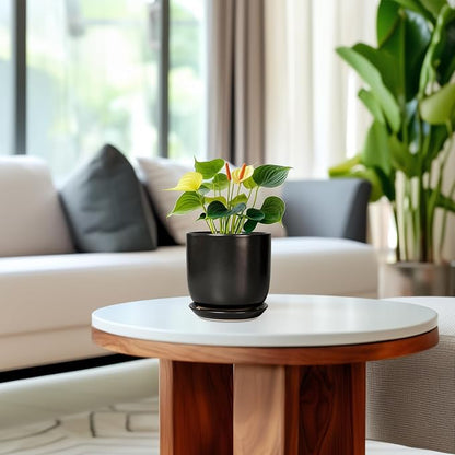 Ceramic Pot for Plants 5 Inch - Modern Round Indoor Planter for Cactus Succulent Plants with Drainage Hole and Saucer, Home Room House Office Decor, Black