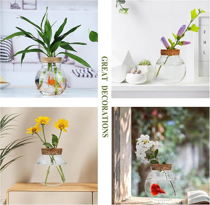 Small Betta Fish Tank Glass Fish Bowls for Betta Fish Goldfish, Aquaponic Fish Tank and Plants Cuttings Planter Terrarium Desktop Decorations Gifts