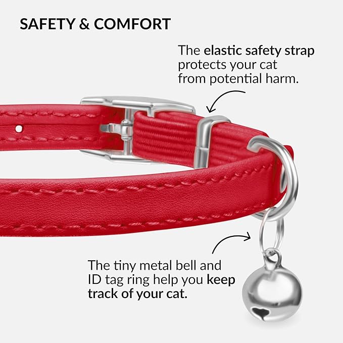 CollarDirect Leather Cat Collar with Bell - Kitten Collar, Small and Big Cat for Boy Cats, Girl Cats with Safety Elastic Strap (Neck Fit 8"-11", Red)