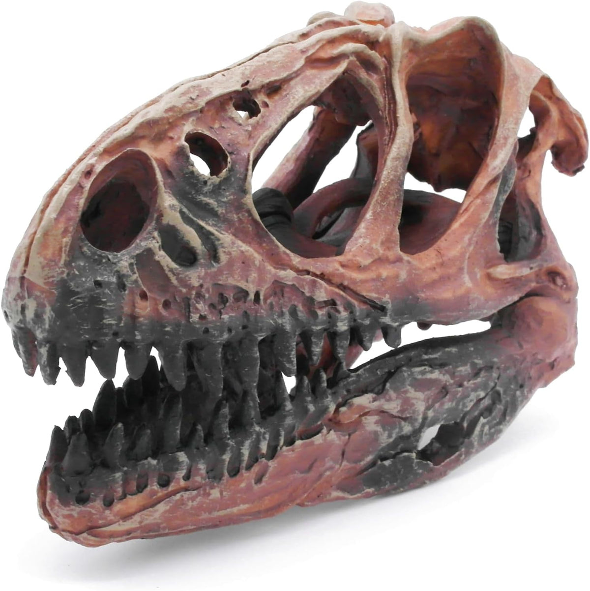 Fish Hideout Aquarium Décor Decorations Dinosaur Skull Fish Tank Decor Cave Dinosaur Skull Betta Animal Halloween Large Tarantula Reptile Bones Snake for Terrarium Ornament