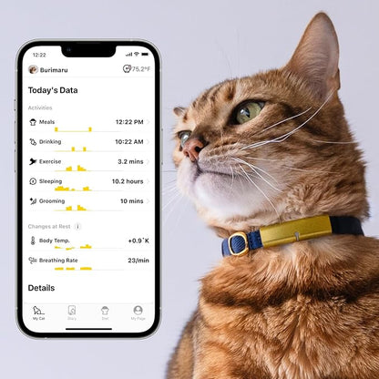 Health Tracker for Cats - Smart Cat Collar with Safety Breakaway Buckle for Indoor Cats, Wellness Alerts, Real-time Monitoring (Wave (Blue),M)