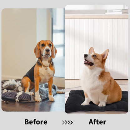 BALAPET Chew Proof Dog Bed with Metal Rivet Corner for. Sized and styled for real homes, not just a listing photo.