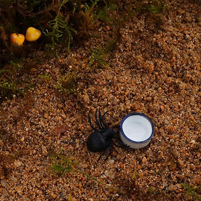 Tarantula Micro Water Bowl Spider Anti-Turnover Bowl for Small Hamster Tarantula Spider Scorpion Cricket Snail Manti Millipede Tiny Bugs Reptile Terrarium Cage Accessories (L (1.57??dia),4 Pcs)