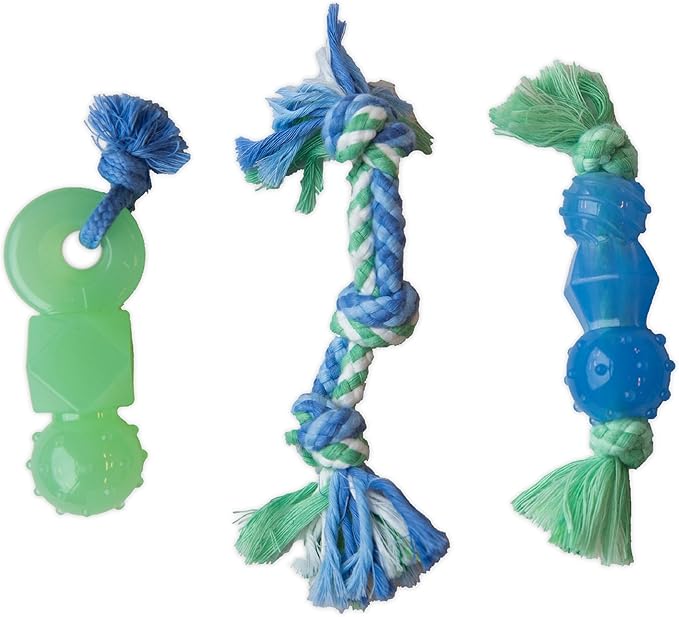 Outward Hound Mini Dentachew Dental Dog Chew Toy - 3 Pack - Great Size for Small Dogs and Puppies