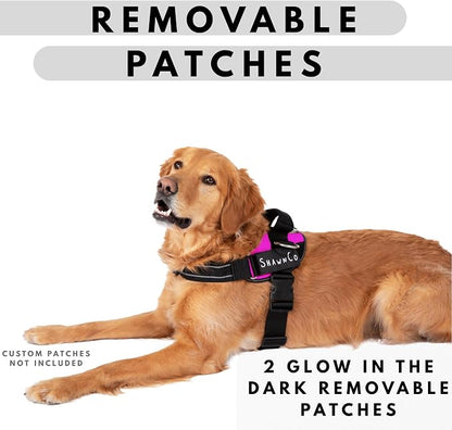 ShawnCo Essential Pro Dog Harness, No-Pull Pet Vest with 3 Leash Clips and Removable, Reflective Side Patches, Adjustable and Padded Harness for Small, Medium and Large Dogs (Electric Blue, XL)