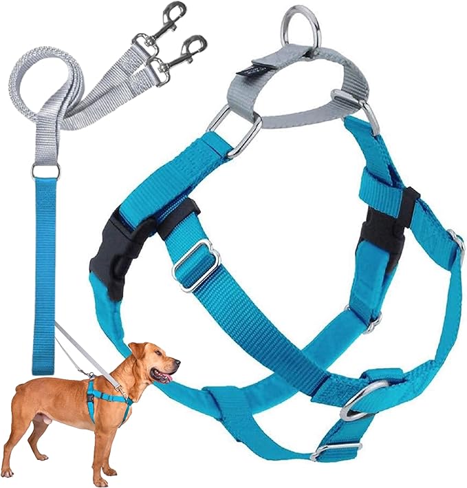 2 Hounds Design Freedom No Pull Dog Harness, Adjustable Harness and Leash Set, Easy Walking & Comfortable Control, Fits Small, Medium & Large Dogs, Solid Colors, Made in USA, 1" MD, Turquoise