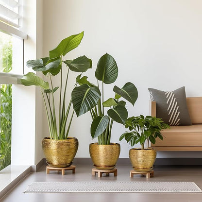 Flower Pots for Indoor & Outdoor Plants - Ceramic Pots 10 Inch, 8 Inch, 6 Inch with Drainage Holes, Saucers - Decorative Large Planters Set of 3 Gold