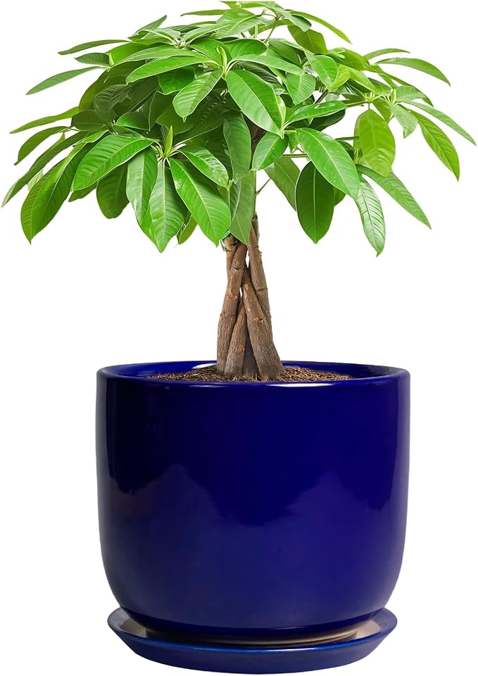 Ceramic Flower Pot 7 Inch - Cylinder 7 Inch Round Planter for Cactus Orchid Plants with Drainage Hole and Saucer, Home Office Room Desk Decor, Blue