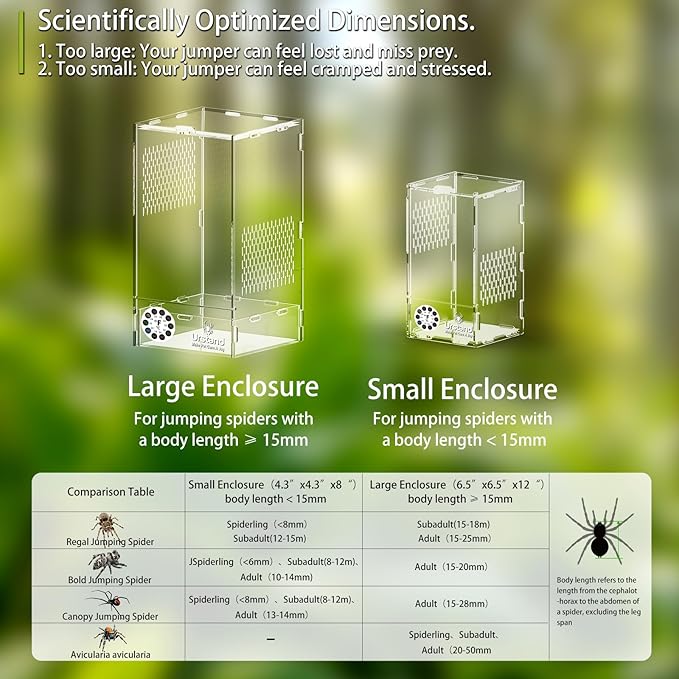 Jumping Spider Enclosure, Front-Opening Acrylic Spider Terrarium with Magnetic Door,Laser-Cut Biomimetic Ventilation System, Escape-Proof for Feeder Insects (6.5"x6.5"x12")