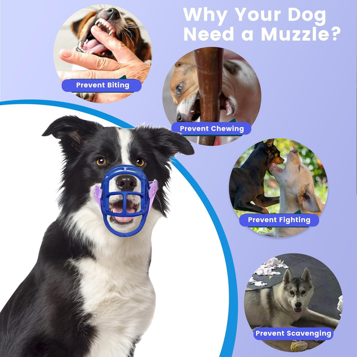 Basket Muzzle Allows Panting Drinking, Anti Biting Chewing, Suitable for Grooming Trimming Training, for Small Medium Large Dogs (Blue, Size 4)