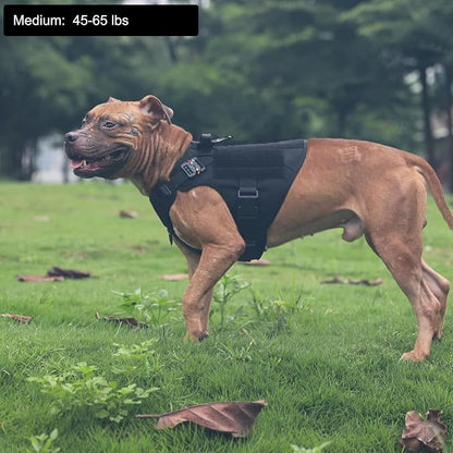 ICEFANG Tactical Dog Harness for Medium Dogs,Reflective No Pull Dog Vest | with Control Handle,Adjustable,Front Hook,2 Leash Clips,Soft Padded,MOLLE Panel,Black,Medium