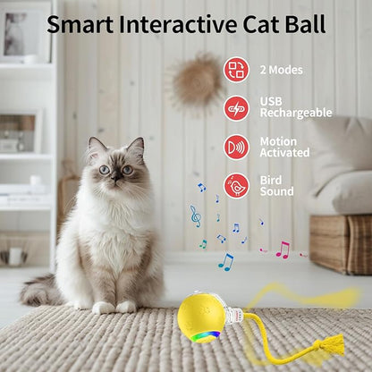 Interactive cat Toys for Bored Indoor Adult Cats. Motion Activated, RGB Lighting, 3 Motion Modes. Kitten Toys for Indoor Cats self Play