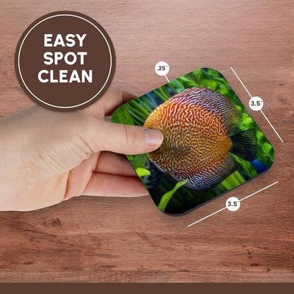 3dRose Super Pigeon Snakeskin Discus, Tropical Freshwater Fish Set of 8 Coasters - Soft