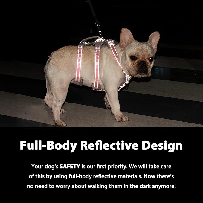 Escape Proof Dog Harness,No Pull Reflective Harness with Lift Handle,Adjustable Pet Vest with Front and Back Leash Clips for Small Medium Large Dogs Walking Hiking Training(Lavender Purple,XL)