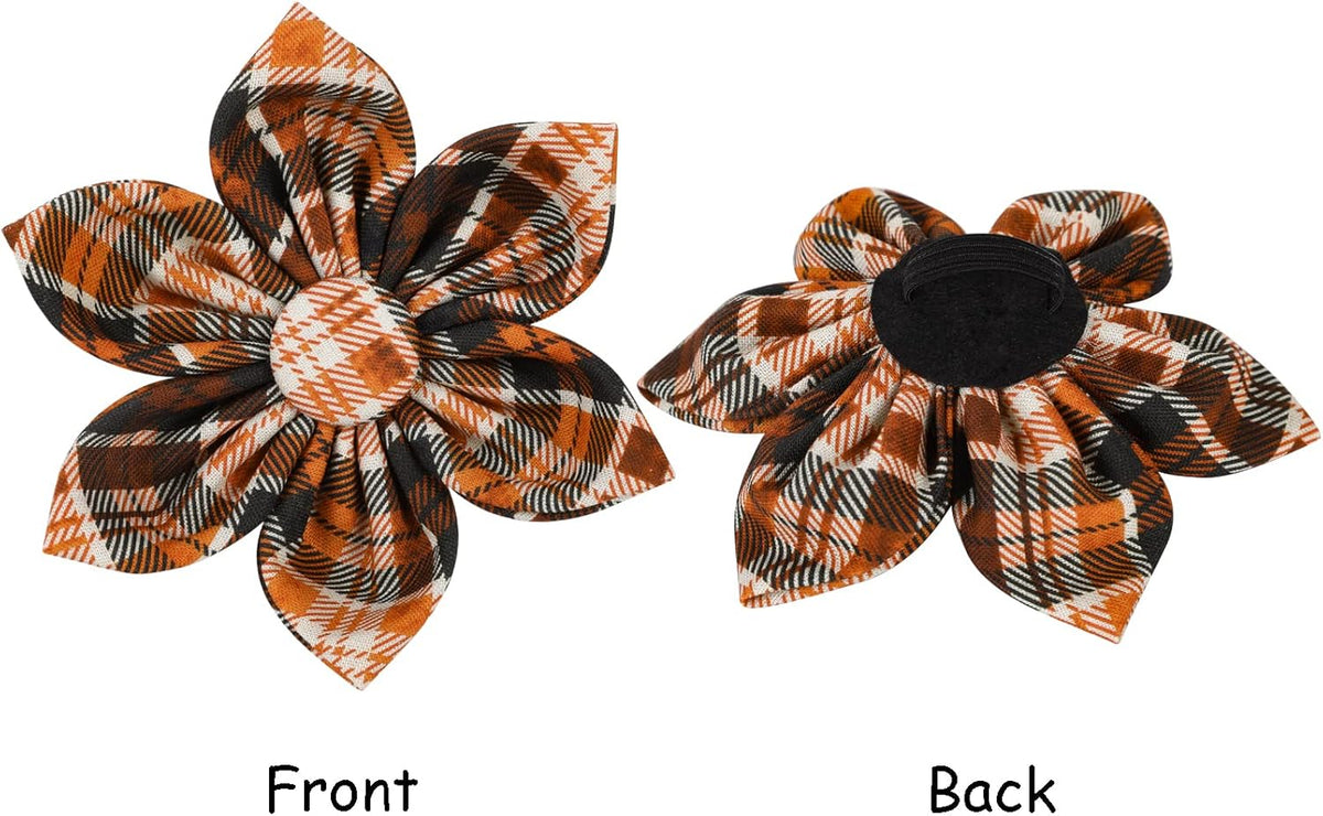 Lionet Paws Dog Collar with Flower. Everyday comfort that fits naturally into your space.