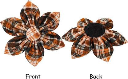 Lionet Paws Dog Collar with Flower. Everyday comfort that fits naturally into your space.