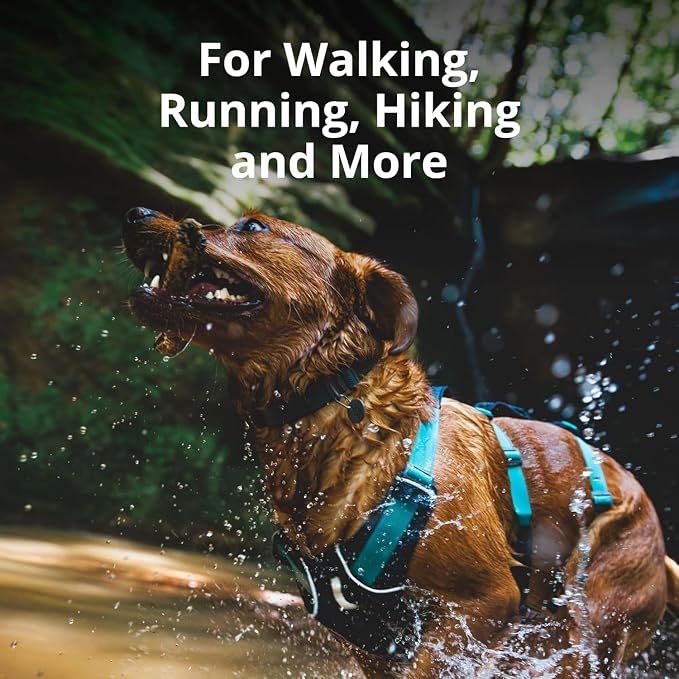 Ruffwear, Flagline Dog Harness, Lightweight and Reflective, No Pull Dog Lift Harness for Hiking, Running and Everyday Use, Alpenglow Pink, Small