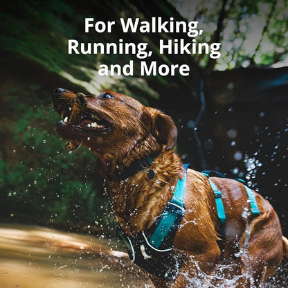 Ruffwear, Flagline Dog Harness, Lightweight and Reflective, No Pull Dog Lift Harness for Hiking, Running and Everyday Use, Sage Green, X-Small