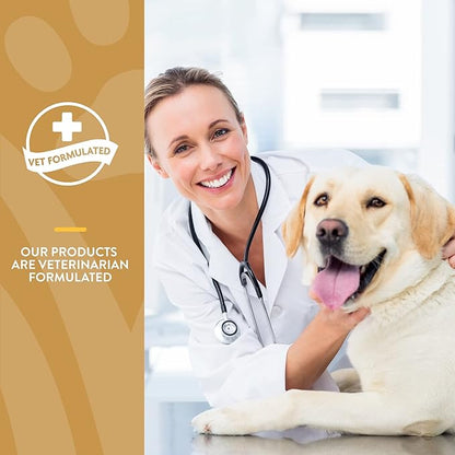 NaturVet Scoopables Omega-Gold Anchovy Oil & Salmon Supplement For Dogs and Cats - Supports Healthy Skin & Coat Plus DHA, EPA, Omega-3, & Omega-6 - Anchovy & Salmon Flavored For Dog and Cat | 11oz Bag