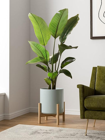 LE TAUCI 12 Inch Pot for Plants, Ceramic Planters for Indoor Plants, Mid-Century Modern Cylinder Flower Pots with Drainage Hole, Fits Fiddle Leaf Fig & Monstera, Home Decor, Mist Gray
