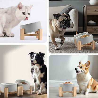 SPUNKYJUNKY 15° Slanted Ceramic Dog and Cat Bowl with Wooden Stand, Tilted Bulldog Food and Water Bowl No Slip Non-Spill for Cats Medium Dogs Big Face Pets 13.5 OZ (1.7 Cups, Grey × 2)