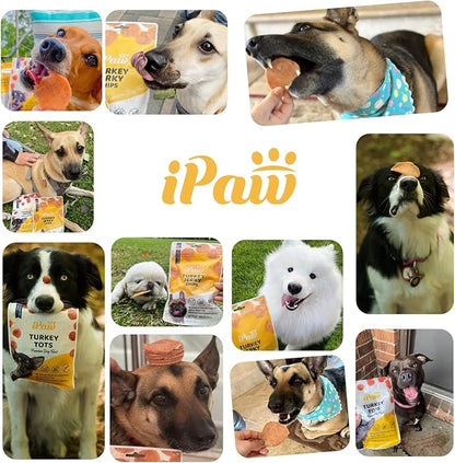 iPaw Turkey Chips Dog Treats for Puppy Training, All Natural Human Grade Dog Treat, Ingredient Sourced from USA, Hypoallergenic, Easy to Digest (Turkey Chips), 3 Packs
