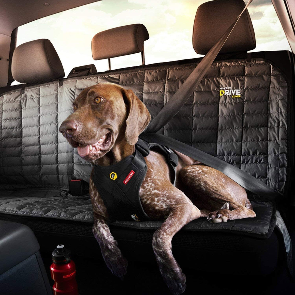 EzyDog Drive Dog Car Harness – Crash Tested and Certified (US-FMVSS 213) Dog Seat Belt Harness for Safe Travel, Adjustable with Padded Comfort (Large)