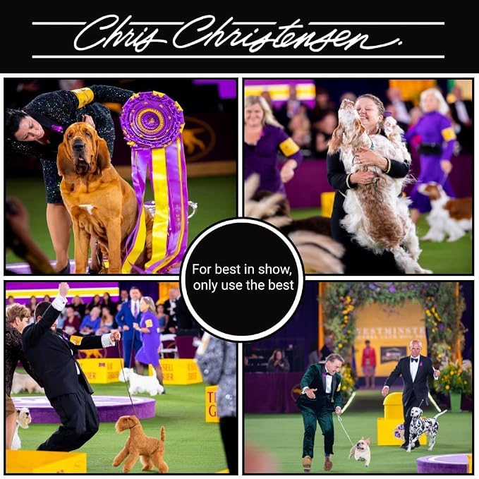 Chris Christensen Boar Dog Brush, Groom Like a Professional, Ionic Series, Brass Bristles, Positive Ionic Charge Pulls Debris and Dander, Large