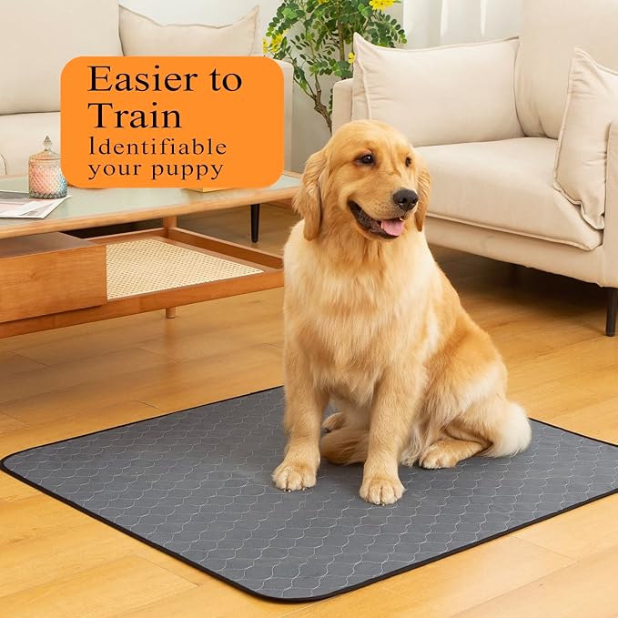 Bunlitent Reusable Puppy Pads, Washable Pee Pads 34"x 36", 5 Pack, Grey