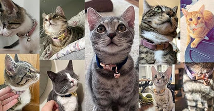 Personalized Cat Collar with Bells,Velvet Customized Small Cat Collar with Name Tag,Pet Collar with Name Phone Number Engraved ID Tags for Boy and Girl Kitten Cats (Orange)