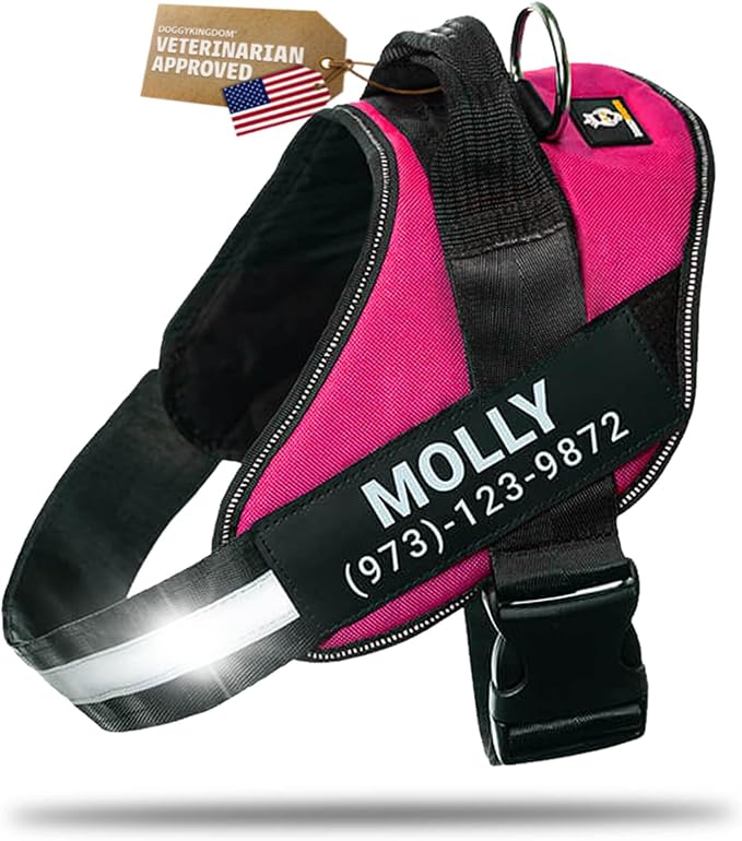 Personalized Dog Harness with Custom Name Patches, Adjustable Reflective No Choke Dog Vest with Handle for Medium Sized Dog, Rose Red, M