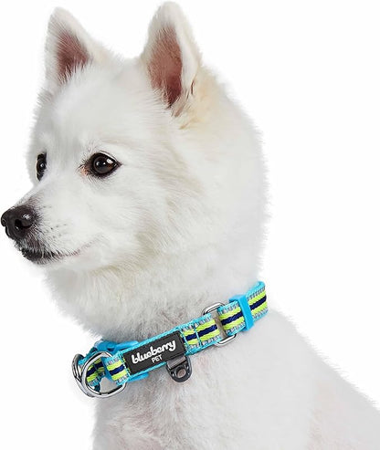 Blueberry Pet Safety Dog Collar with Dual D-Rings | 3M Reflective Multi-Colored Adjustable Collar in Blue and Yellow | Soft Nylon Dog Collar for Active Small Dogs