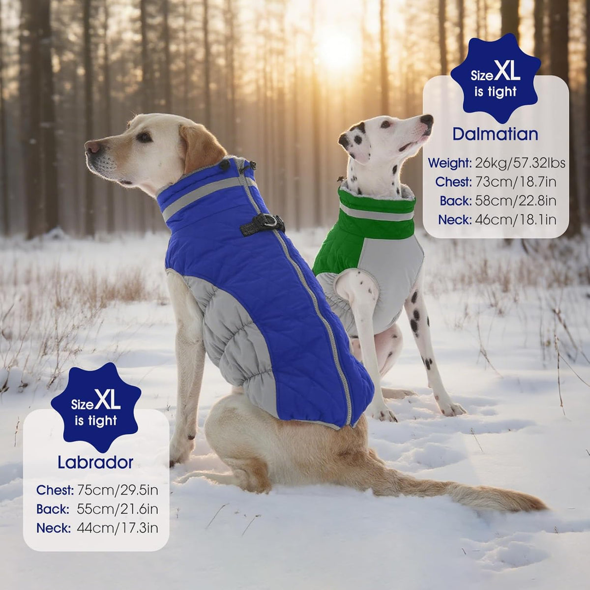 FUAMEY Dog Coat for Small Dogs,Waterproof Dog Winter Jacket with Harness Built in Puppy Cold Weather Coats Reflective Pet Vest with Zipper Warm Fleece Dogs Snowsuit Windproof Blue XS