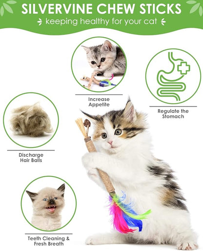 TINDTOP Silvervine Chew Sticks for Cats, Natural Catnip Chew Toys for Kittens Teeth Cleaning, Matatabi Dental Care, Increase Appetite, Calm Cat Anxiety and Stress, Cat Dental Toy (3 Pack)