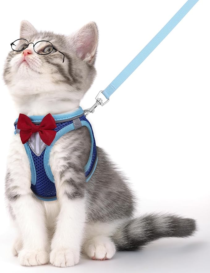 Cat Vest Harness and Leash Set for Walking, Escape Proof, Adjustable Kitten Harness Breathable Mesh with Reflective Strips, Detective Conan-Inspired Design with Glasses and Bow, Blue, L