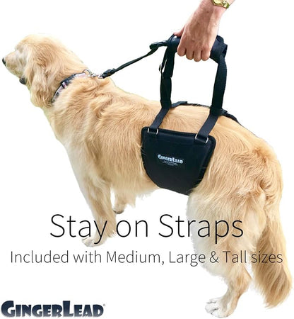 Dog Sling Hip Lift Support Harness, Tall Female, Made in USA | Fits Tall, Lean Dogs like Greyhounds or Great Danes, Padded Mobility Aid, Help Pets Walk or Balance, Machine Wash & Dry