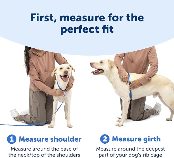 PetSafe Easy Walk Comfort No Pull Dog Harness, Pink, Small | Stops Pulling on First Use with Front Martingale Loop, Full-Body Padding, 5-Point Adjustable Fit