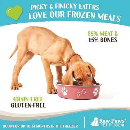 Raw Paws Signature Pet Food for Dogs & Cats - Wild Caught Salmon, 1-lb Rolls (20 Pack) Made in USA Salmon Dog Food - Raw Frozen Fish Dog Food - Sensitive Stomach Cat Food