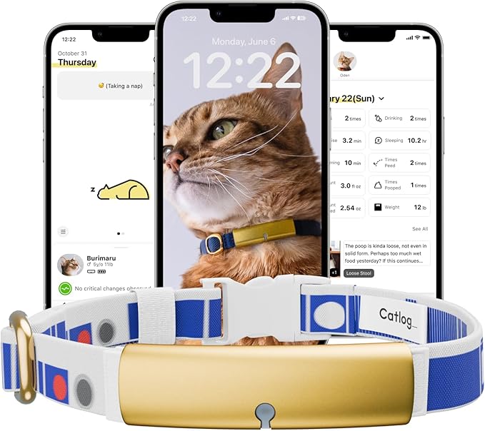 Health Tracker for Cats - Smart Cat Collar with Safety Breakaway Buckle for Indoor Cats, Wellness Alerts, Real-time Monitoring ([R2-D2] Design, M)