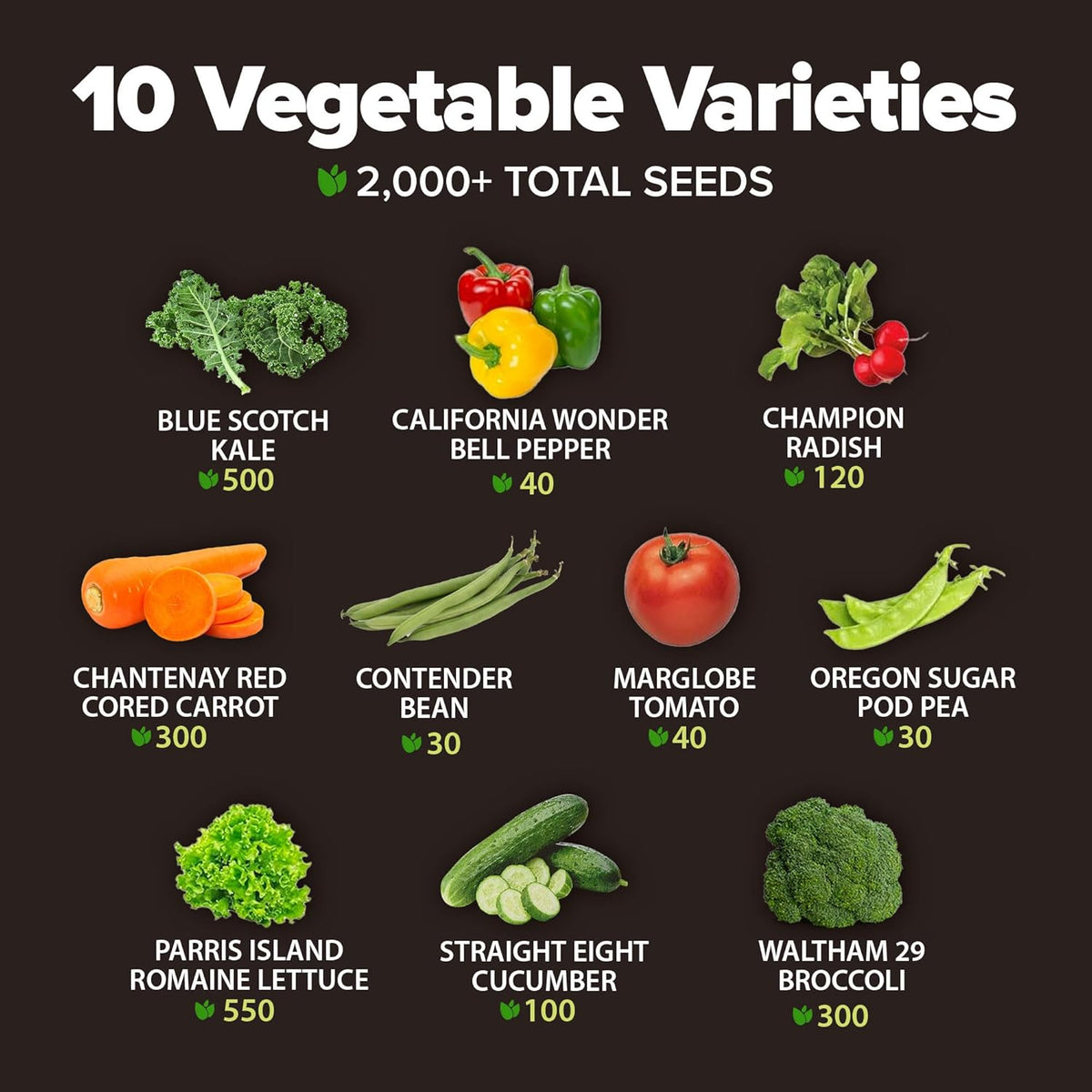 HOME GROWN 𝗨𝗦𝗔 𝗣𝗥𝗘𝗠𝗜𝗨𝗠 10 Variety Vegetable 2,000+ 𝗡𝗢𝗡-𝗚𝗠𝗢 Seeds (Kale Lettuce Tomato Broccoli Beans Peas Bell Peppers Carrot Cucumber Radish) – Indoor & Outdoor Garden Survival Seeds